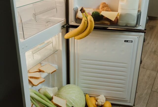 Why Eco-Friendly Disposal of Refrigerators Matters